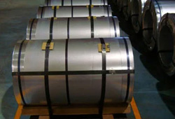 No.4 Finish 310 Coil