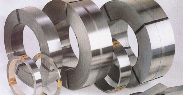 Stainless Steel 310S Strips