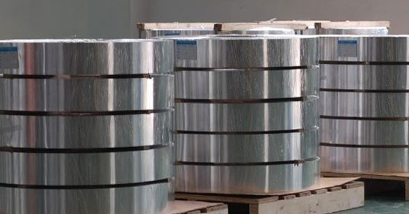 Stainless Steel 309 Strips
